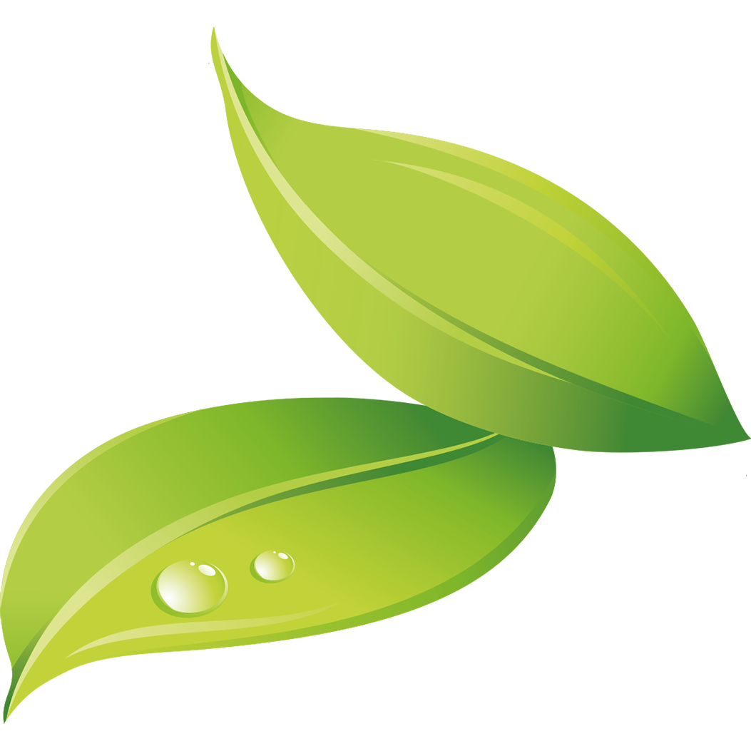 Bountiful logo